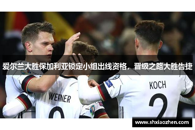 爱尔兰大胜保加利亚锁定小组出线资格，晋级之路大胜告捷