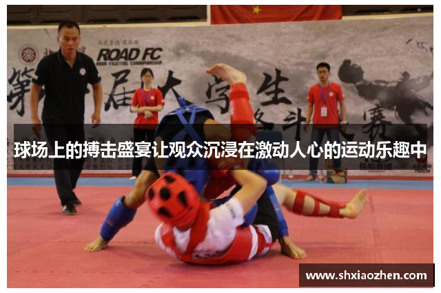 球场上的搏击盛宴让观众沉浸在激动人心的运动乐趣中