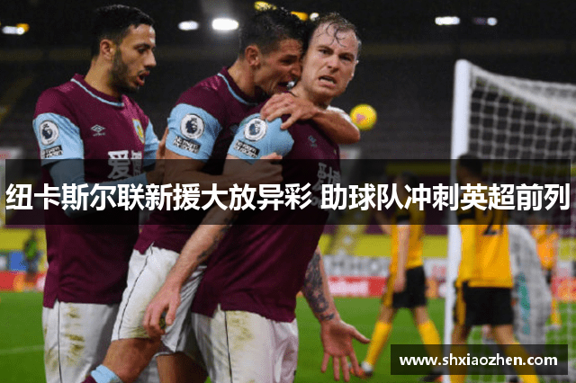 纽卡斯尔联新援大放异彩 助球队冲刺英超前列