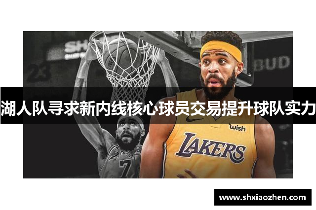 湖人队寻求新内线核心球员交易提升球队实力