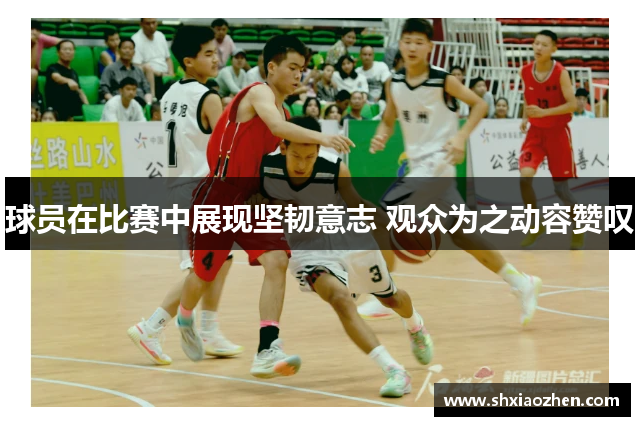 球员在比赛中展现坚韧意志 观众为之动容赞叹