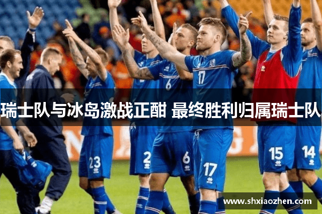 瑞士队与冰岛激战正酣 最终胜利归属瑞士队