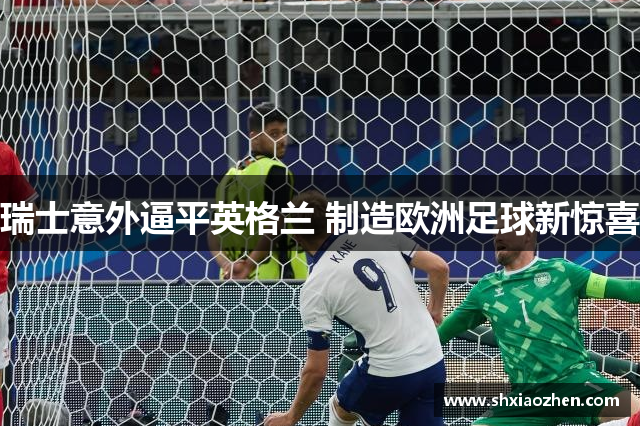 瑞士意外逼平英格兰 制造欧洲足球新惊喜