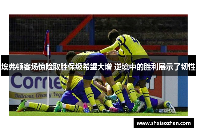 埃弗顿客场惊险取胜保级希望大增 逆境中的胜利展示了韧性