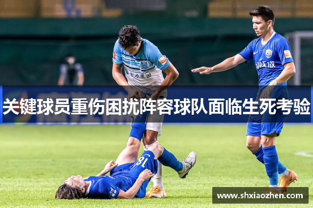 关键球员重伤困扰阵容球队面临生死考验