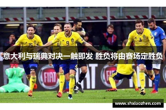 意大利与瑞典对决一触即发 胜负将由赛场定胜负