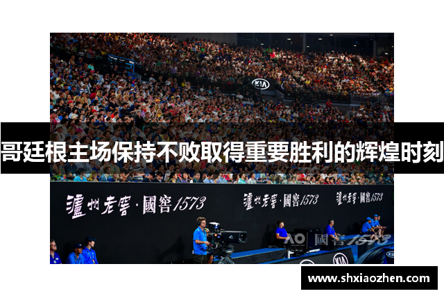 哥廷根主场保持不败取得重要胜利的辉煌时刻