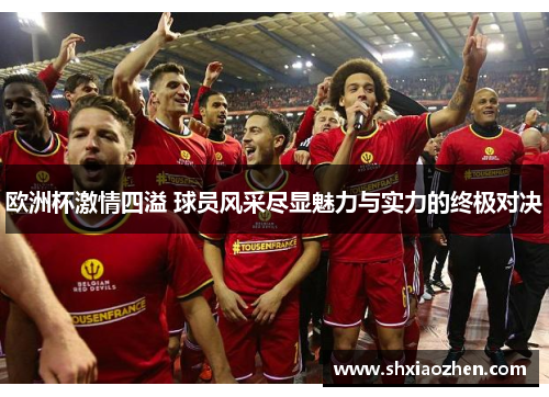 欧洲杯激情四溢 球员风采尽显魅力与实力的终极对决