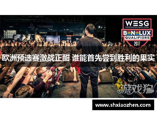 欧洲预选赛激战正酣 谁能首先尝到胜利的果实