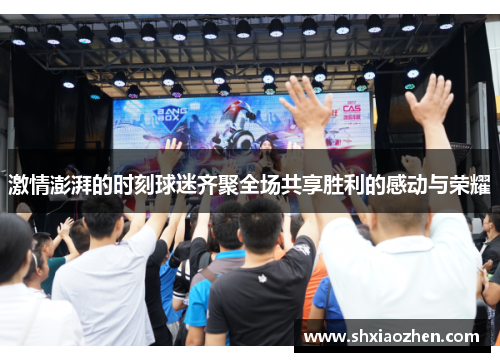 激情澎湃的时刻球迷齐聚全场共享胜利的感动与荣耀