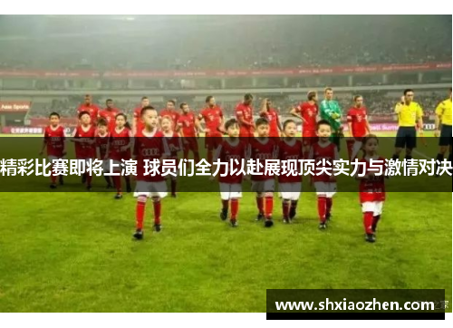 精彩比赛即将上演 球员们全力以赴展现顶尖实力与激情对决