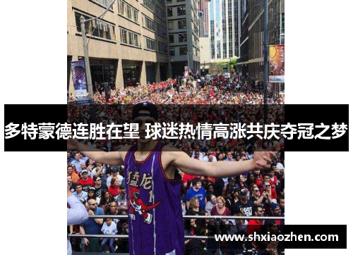 多特蒙德连胜在望 球迷热情高涨共庆夺冠之梦
