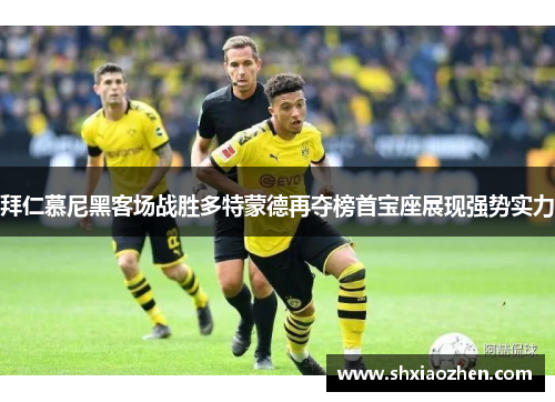 拜仁慕尼黑客场战胜多特蒙德再夺榜首宝座展现强势实力