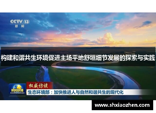 构建和谐共生环境促进主场平地舒垣细节发展的探索与实践