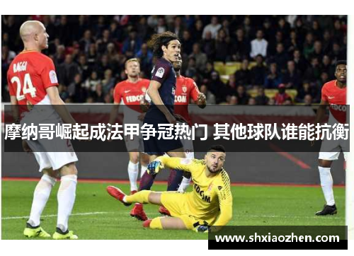 摩纳哥崛起成法甲争冠热门 其他球队谁能抗衡