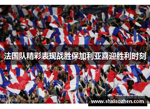 法国队精彩表现战胜保加利亚喜迎胜利时刻