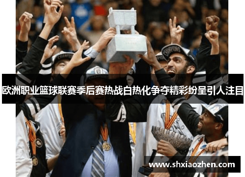 欧洲职业篮球联赛季后赛热战白热化争夺精彩纷呈引人注目