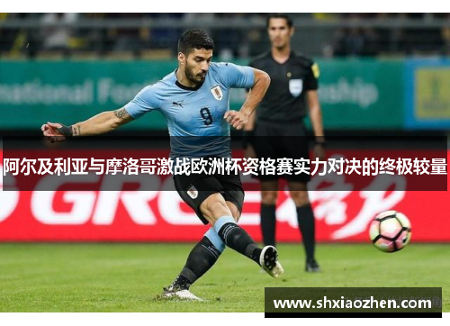 阿尔及利亚与摩洛哥激战欧洲杯资格赛实力对决的终极较量