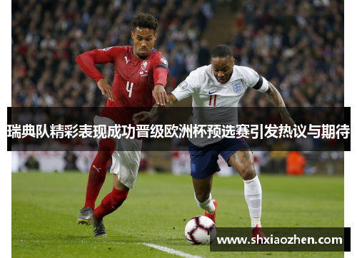瑞典队精彩表现成功晋级欧洲杯预选赛引发热议与期待