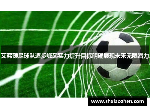 艾弗顿足球队逐步崛起实力提升目标明确展现未来无限潜力