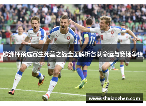 欧洲杯预选赛生死营之战全面解析各队命运与赛场争锋