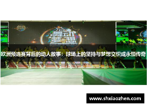 欧洲预选赛背后的动人故事：球场上的坚持与梦想交织成永恒传奇