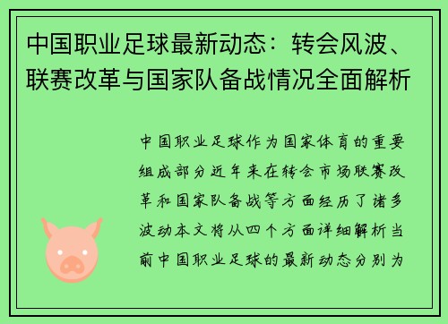 中国职业足球最新动态：转会风波、联赛改革与国家队备战情况全面解析
