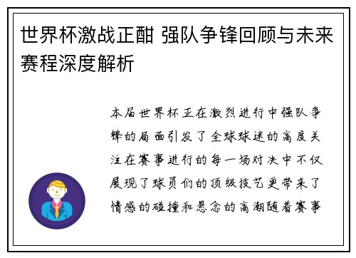 世界杯激战正酣 强队争锋回顾与未来赛程深度解析