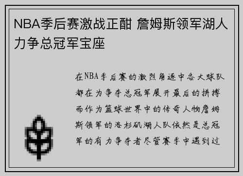 NBA季后赛激战正酣 詹姆斯领军湖人力争总冠军宝座
